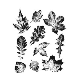 Stampers Anonymous, Tim Holtz leimasinsetti Leaf Prints 2