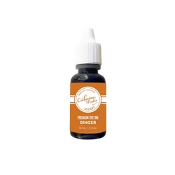 Catherine Pooler Premium Dye Ink -täyttöpullo, sävy Ginger