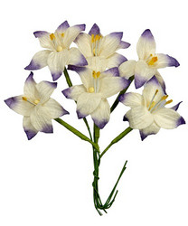 Scrapberry paperikukat Lily, violet-white