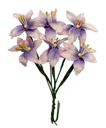 Scrapberry paperikukat Lily, pink-violet