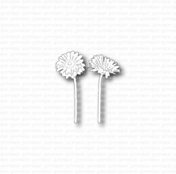 Gummiapan stanssi Small Gerberas