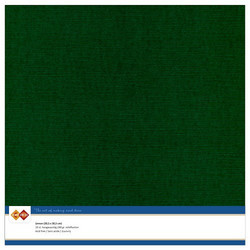 Kartonki, 30.5 x 30.5, sävy Christmas Green