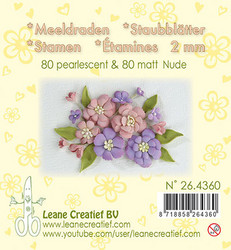 Leane Creatief Heteet, 2 mm. 160 kpl. Sävy nude