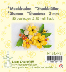 Leane Creatief Heteet, 2 mm. 160 kpl. Sävy musta