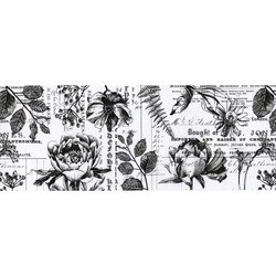 Tim Holtz Idea-Ology Collage paperipakkaus Botanical