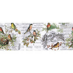Tim Holtz Idea-Ology Collage paperipakkaus Aviary