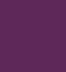 ZIG Clean Colors Real Brush -kynä, sävy purple