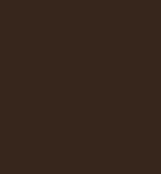 ZIG Clean Colors Real Brush -kynä, sävy dark brown