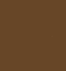 ZIG Clean Colors Real Brush -kynä, sävy mid brown
