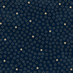 Kaisercraft Starry Night skräppipaperi Modern