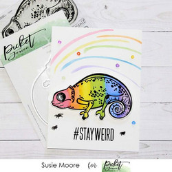 Picket Fence sapluuna Funky Rainbow