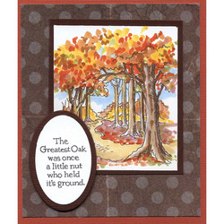 Stampendous leimasinsetti Forest Path