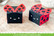 Lawn Fawn stanssisetti Tiny Gift Box Ladybug Add-On
