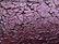 Picket Fence Paper Glaze, sävy Boysenberry Violet