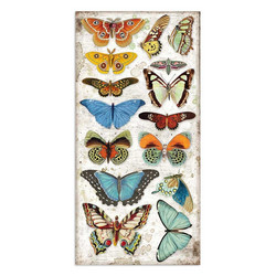 Stamperia paperipakkaus Amazonia, 6