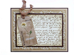 Creative Expressions stanssi Shabby Basics Tattered Tags