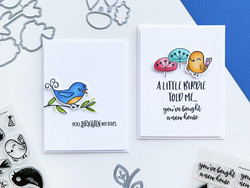 Catherine Pooler stanssisetti Lovely Birdies