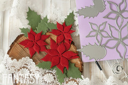 Fantasy Dies stanssi Poinsettia