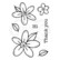 Woodware leimasin Daisies