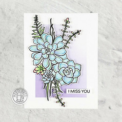 Hero Arts Succulent Bouquet -leimasinsetti