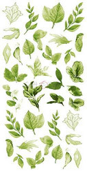 Craft O'clock paperipakkaus Basic Leaves Set 1, Green