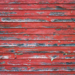 Reminisce Barnwood Beauty skräppipaperi #2