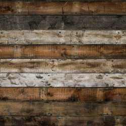 Reminisce Barnwood Beauty skräppipaperi #4