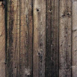 Reminisce Barnwood Beauty skräppipaperi #5