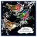 Stampendous Bird Collage -leimasin- ja stanssisetti