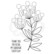 Woodware leimasin Bubble Bloom Trinny