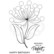 Woodware leimasin Bubble Bloom Gilly