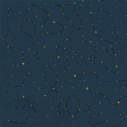 Echo Park Pirate Tales skräppipaperi Constellations