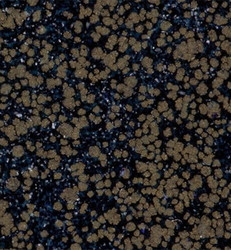 Wow! Colour Blends -kohojauhe, sävy Midnight by Natasha Davies (X,OM)