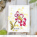 Altenew Build-A-Flower Candystripe Cosmos stanssi- ja leimasinsetti