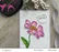 Altenew Build-A-Flower Candystripe Cosmos stanssi- ja leimasinsetti