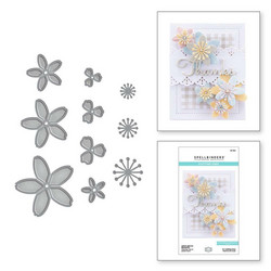 Spellbinders stanssisetti Cinch And Go Blossoms