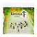 Lavinia Stamps leimasin Bell Flower Vine