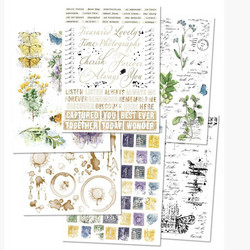 49 and Market Rub-Ons siirtokuvat Curators Botanical