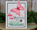 Gina K. Designs leimasin Beautiful Backyard