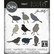 Sizzix Thinlits stanssi Silhouette Birds