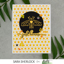 Picket Fence sapluuna Hexagon Randomness