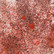 Cosmic Shimmer Pixie Burst -jauhe, sävy Rusty Red
