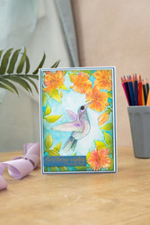 Crafter's Companion Hummingbird 3D kohokuviointikansio Heavenly Hummingbird