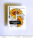 Altenew Paint-A-Flower: Gerbera Revolution -leimasinsetti