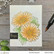 Altenew Paint-A-Flower: Gerbera Revolution -leimasinsetti
