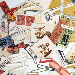49 and Market leikekuvat Ephemera Bits, Curators Meadow