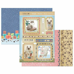 Hunkydory Curious Cats Luxury Topper -pakkaus, Pawsitively The Best