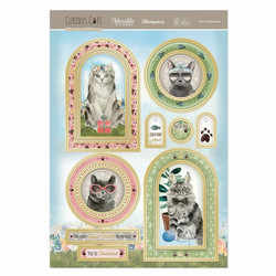 Hunkydory Curious Cats Luxury Topper -pakkaus, You're Pawsome