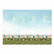 Hunkydory Curious Cats Luxury Topper -pakkaus, You're Pawsome