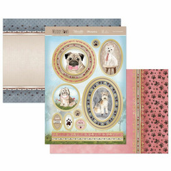 Hunkydory Muddy Paws Luxury Topper -pakkaus, You're Pawsome!